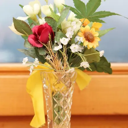 Alpenhaus Ganser-dixit * Mariazell