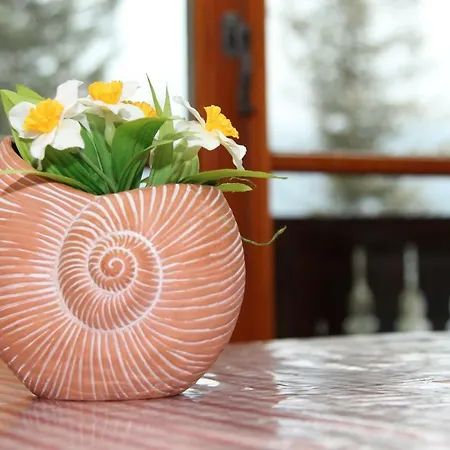 Alpenhaus Ganser-dixit