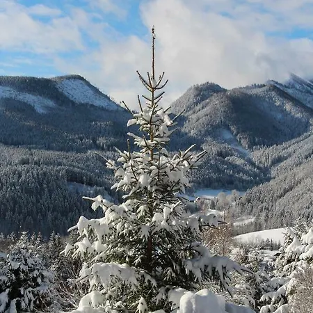 Alpenhaus Ganser-dixit * Mariazell