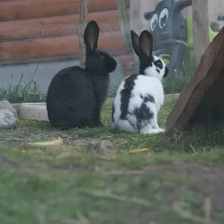 Alpenhaus Ganser-dixit Mariazell