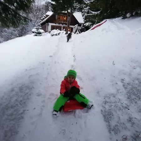 Alpenhaus Ganser-dixit * Mariazell