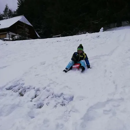 Alpenhaus Ganser-dixit Mariazell