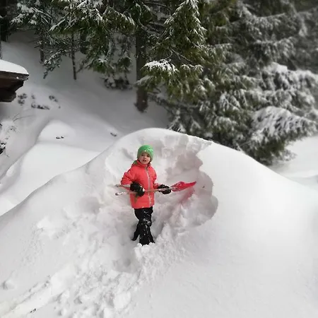 Alpenhaus Ganser-dixit Apartman
