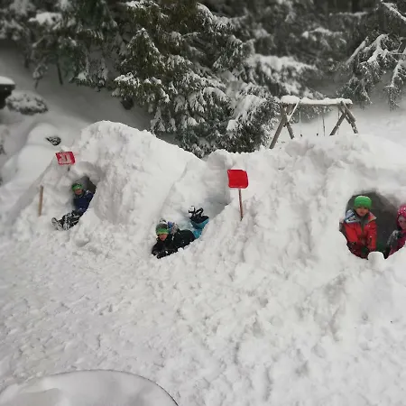 Alpenhaus Ganser-dixit