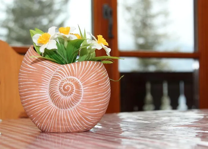 Alpenhaus Ganser-dixit