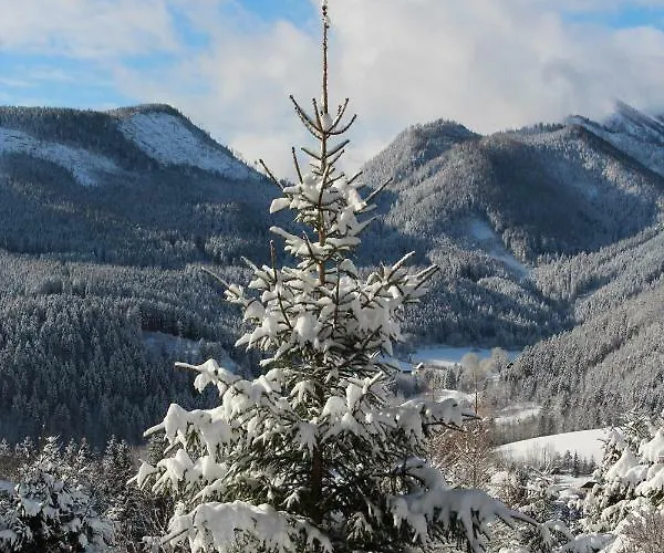 Alpenhaus Ganser-dixit * Mariazell
