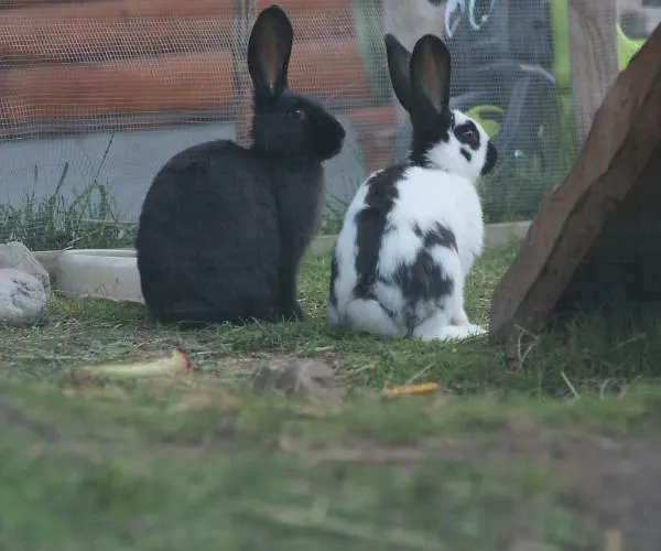 Alpenhaus Ganser-dixit Mariazell