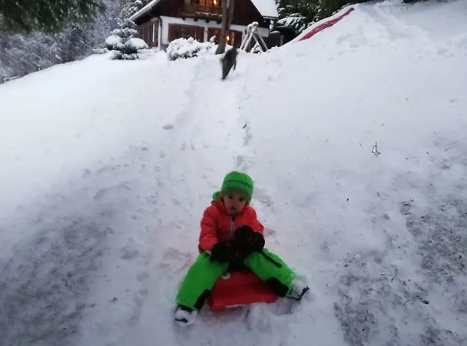 Alpenhaus Ganser-dixit * 玛利亚采尔