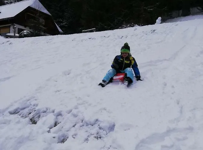 Alpenhaus Ganser-dixit 玛利亚采尔