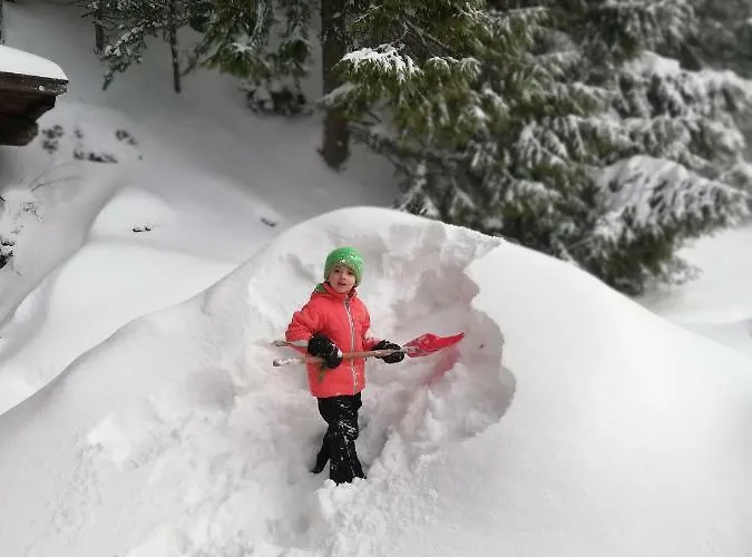 Alpenhaus Ganser-dixit 公寓