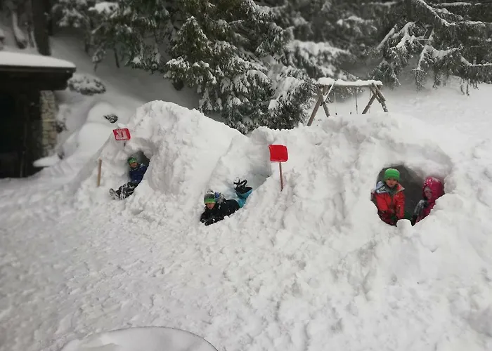 Alpenhaus Ganser-dixit