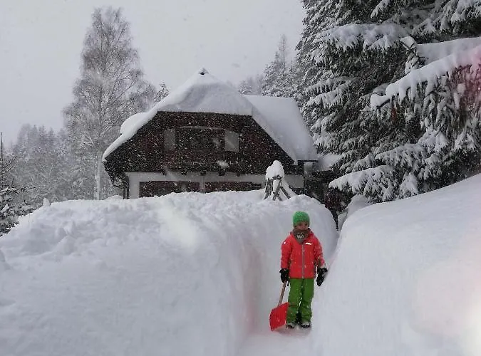 Appartamento Alpenhaus Ganser-dixit *